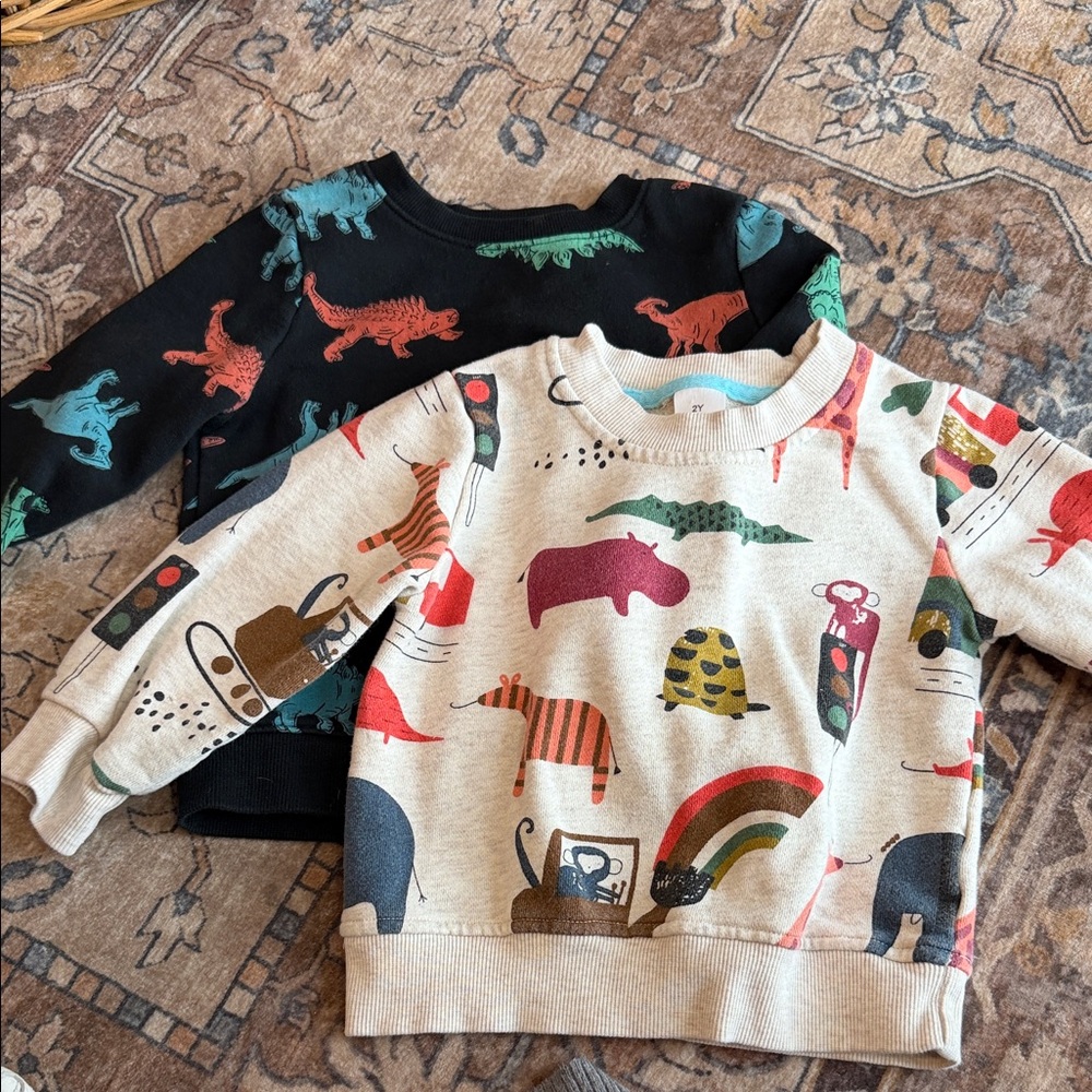 Cat & Jack Colorful Dinosaur Sweatshirts - Black and Cream